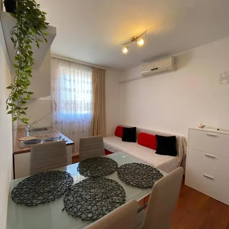 Apartment Memic 100m Od Mora Porec