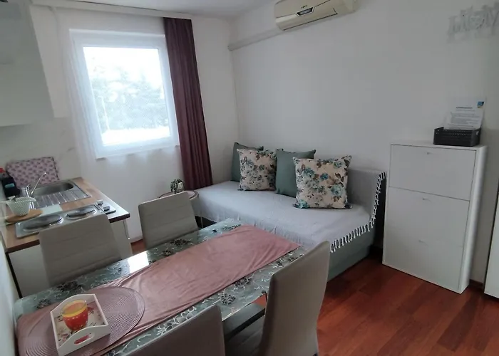 Apartman Memic 100m Od Mora Poreč