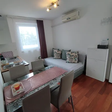 Apartment Memic 100m Od Mora Porec