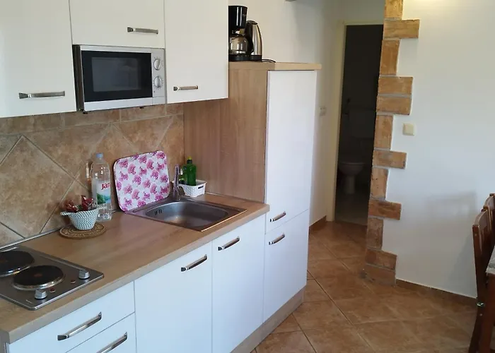 Memic 100m Od Mora Apartmán Poreč